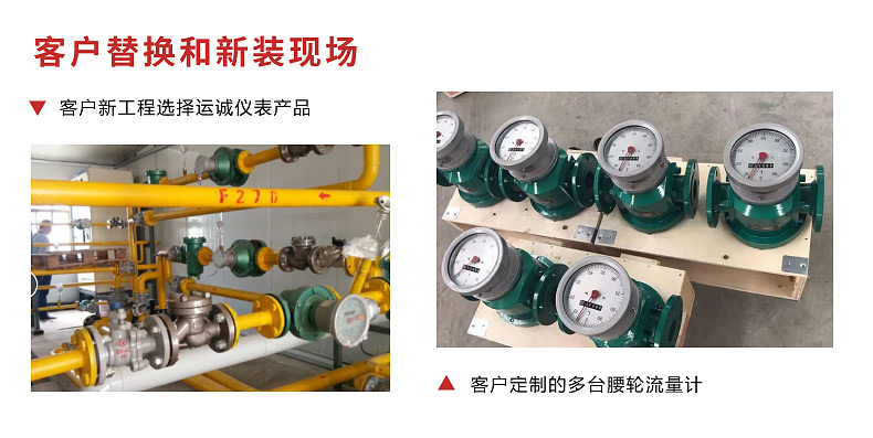 1614232049295525.jpg 腰輪流量計.jpg